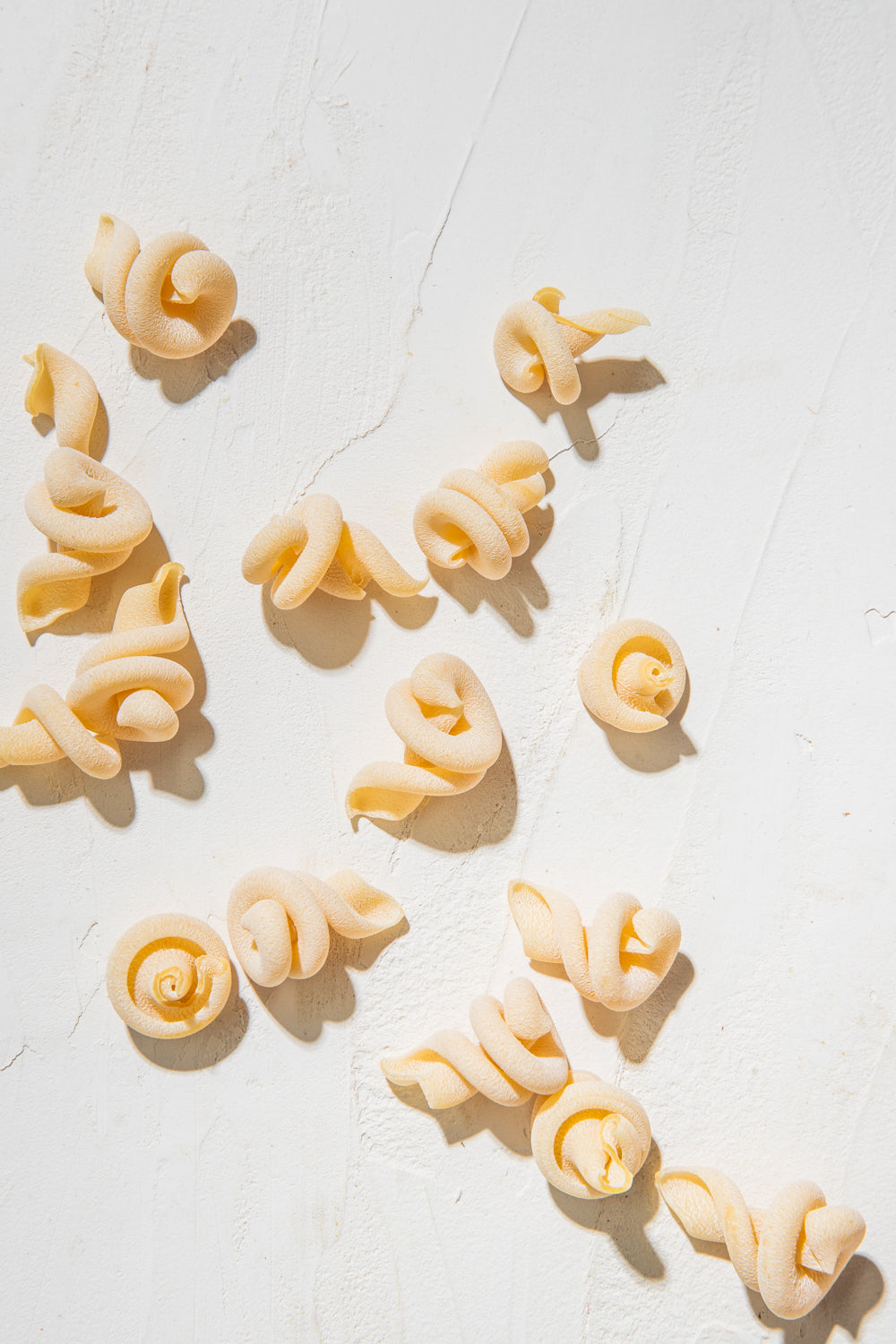 Dried Trottolini Pasta